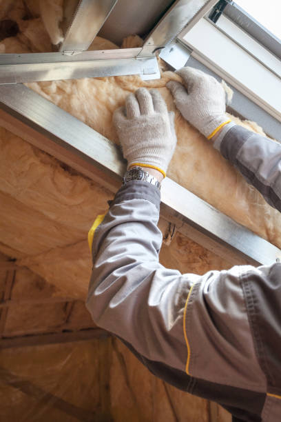 Types of Insulation We Offer in Paxton, IL