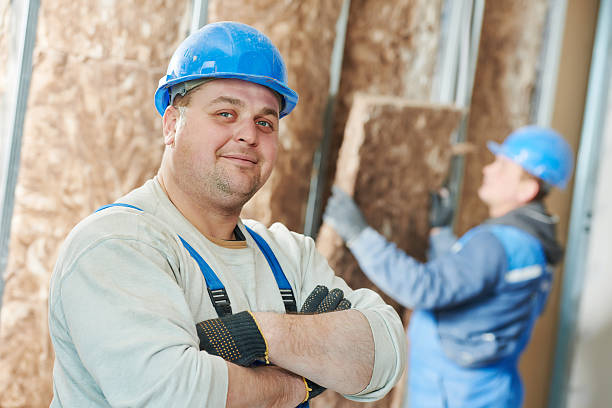 Best Geographic-Specific Insulation Services in Paxton, IL